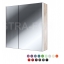 Зеркальный шкаф Астра-Форм 100 универсальный ЦВ RAL 100x70 Фото 1